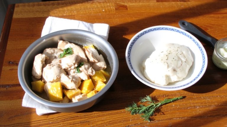 homemade dog food for allergies