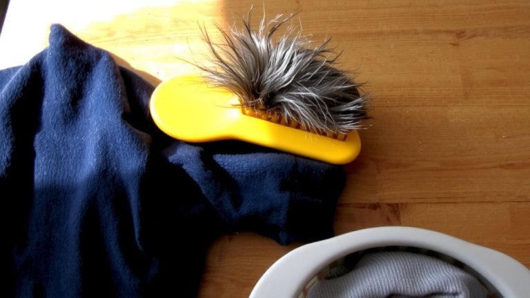 lint roller damp cloth rubber glove vacuum