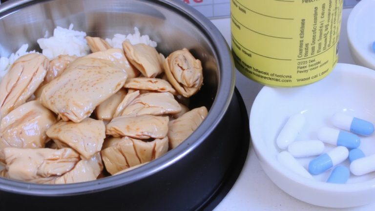 low fat diet management