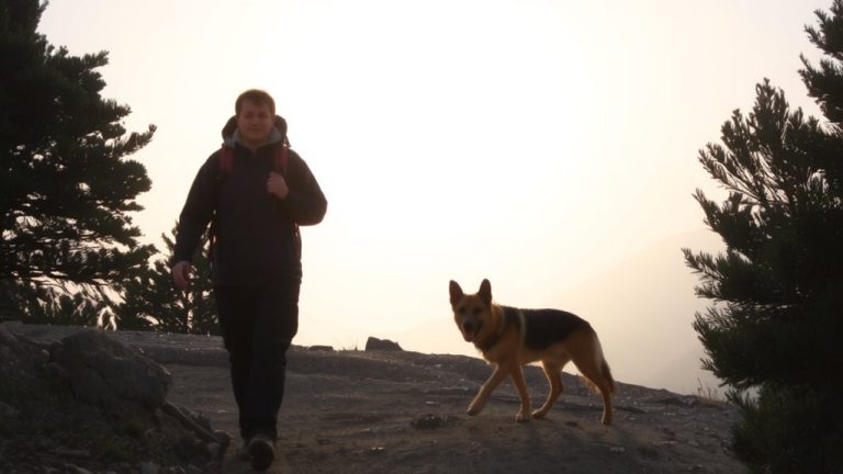 loyal active protective hiking companions
