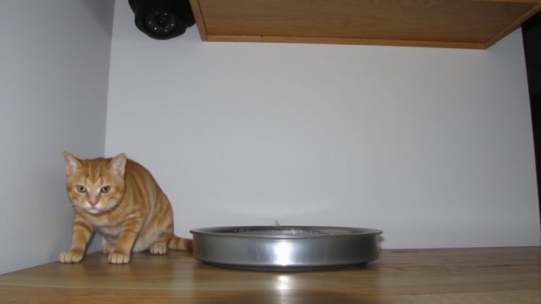 monitor hidden drinking behaviors
