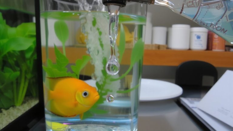 neutralize chlorine with conditioner