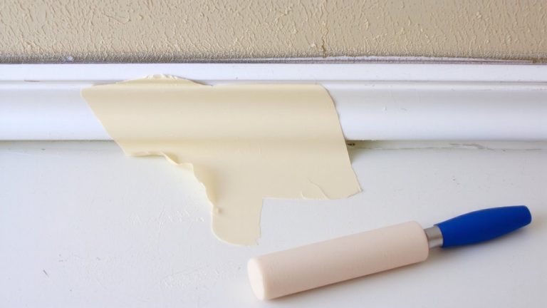 non toxic paint for chewed surfaces