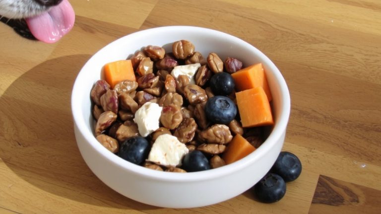 nutritious puppy food for aussies