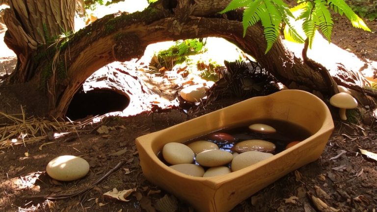 optimal box turtle enclosure