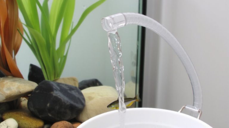 partial water change protocol