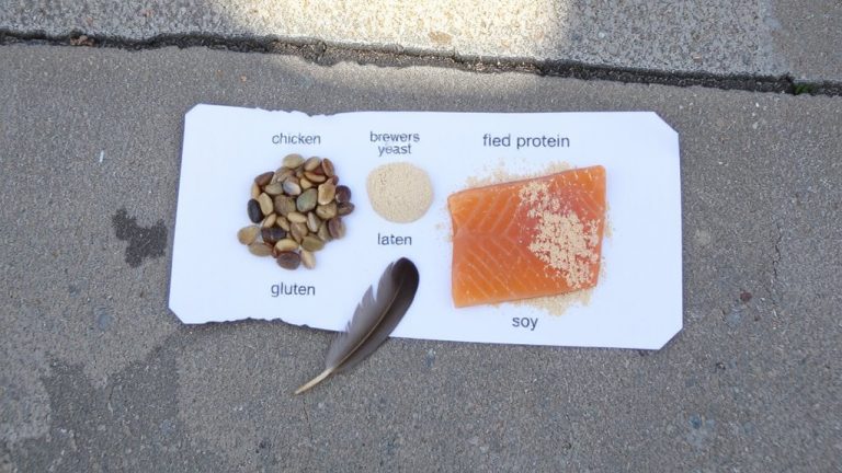 pet food allergens identification