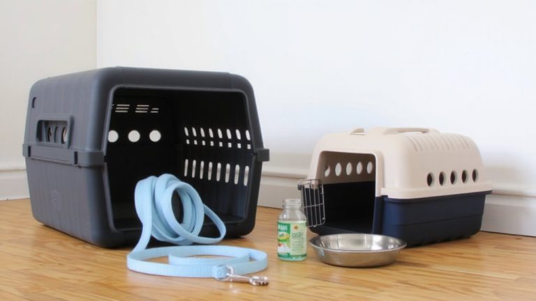 pet starter kit essentials
