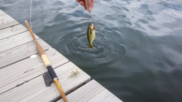 phasing out lures responsibly