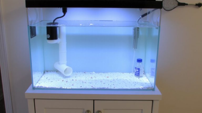 quarantine tank setup guide