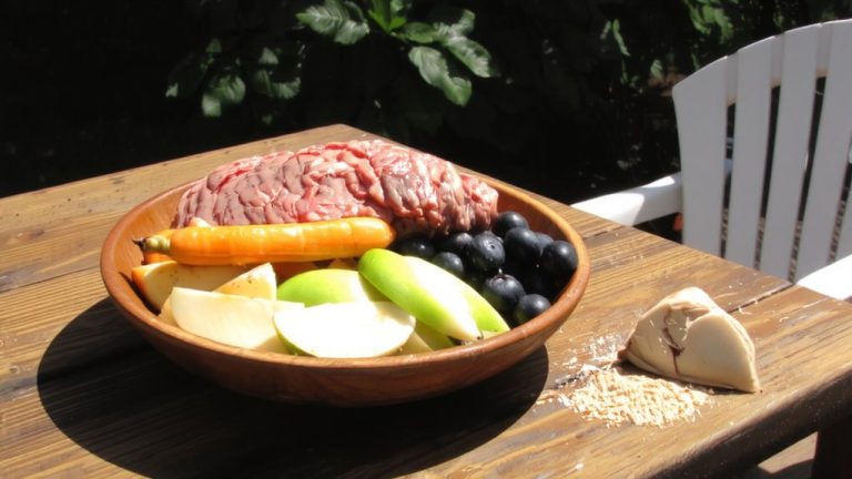 raw diet pitbulls best