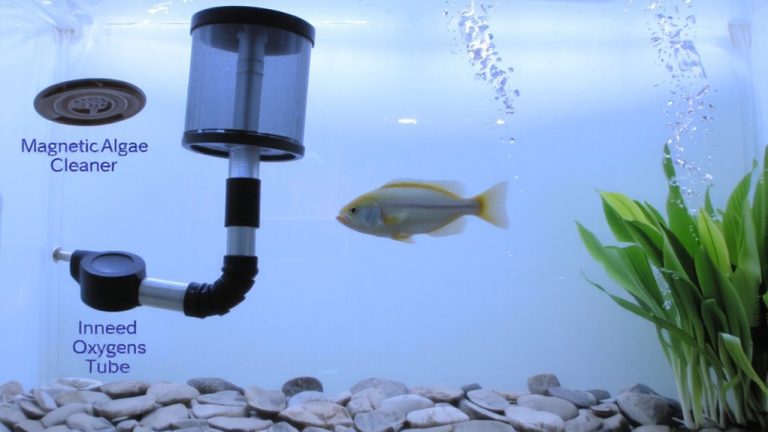 regular maintenance and filtration