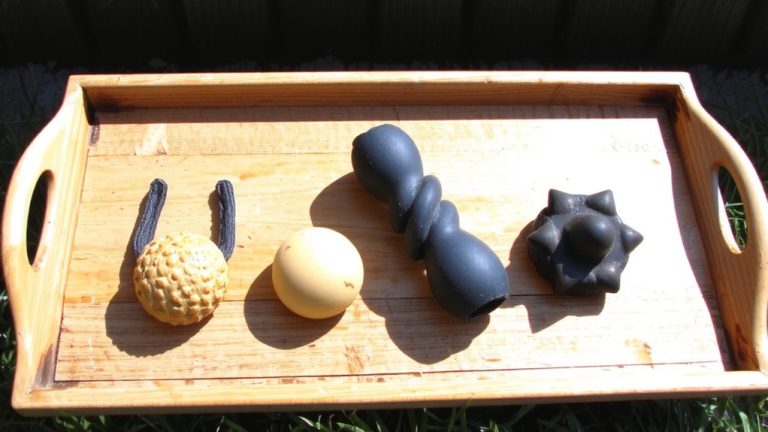 rotate chew items regularly