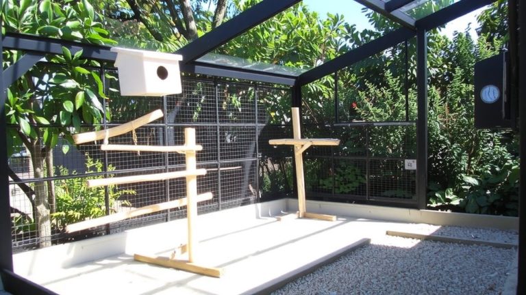 secure aviaries for birds of prey