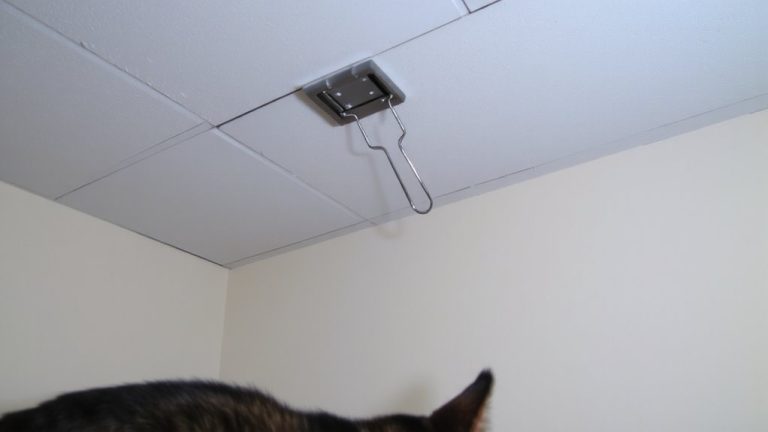 secure ceiling tiles preventing pet dislodging