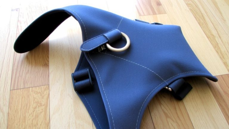 secure comfortable cat harness