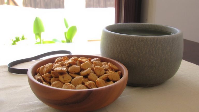 senior dog food guide