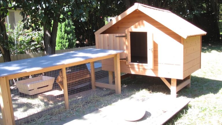 shade shelter design guidelines