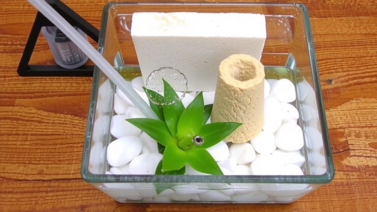 sponge filter installation guide