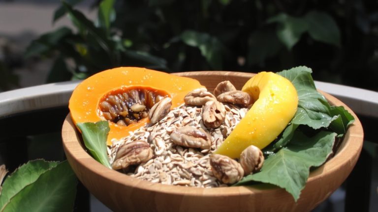 sun conure diet essentials