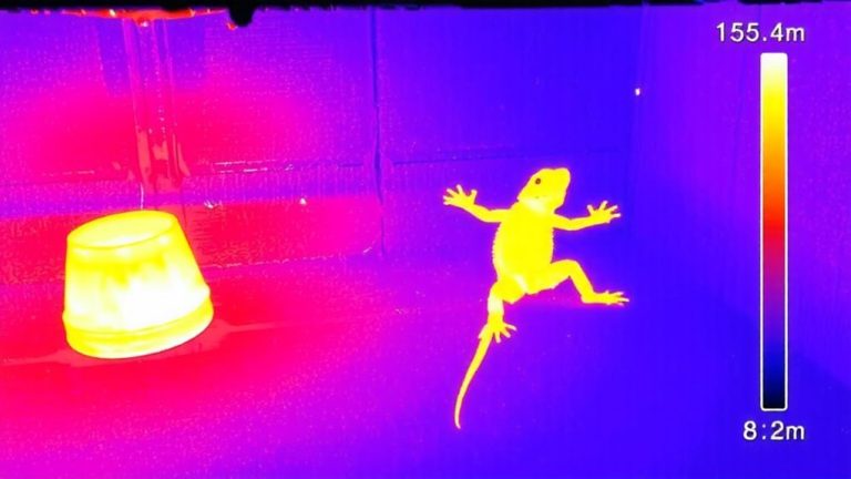 thermal camera hot spot detection