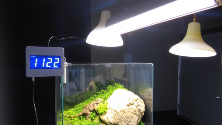 timer automated reptile lighting