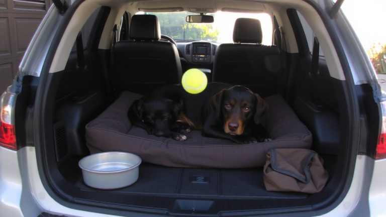 top 2023 dog friendly vehicles