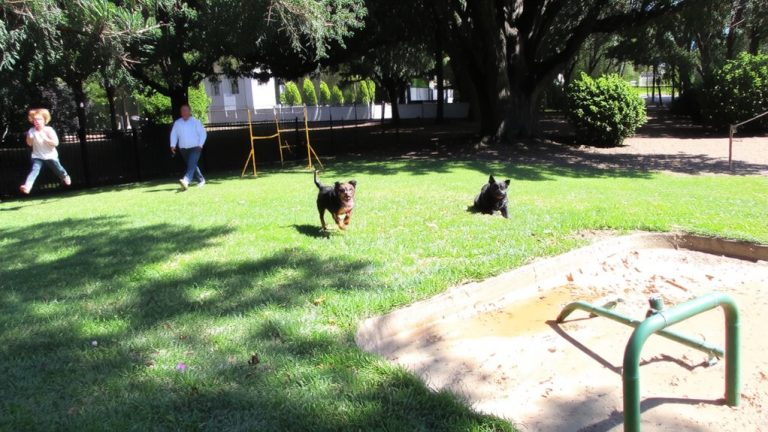 top parks for small dogs