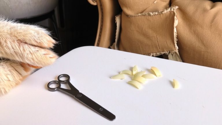 trim nails prevent damage