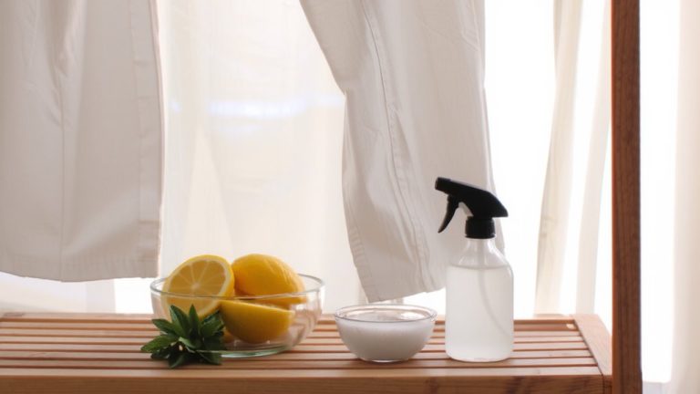 vinegar and baking soda wash
