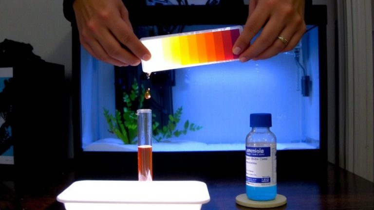 weekly freshwater aquarium testing