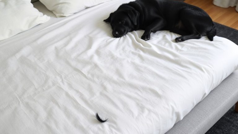 dog hair control sheets