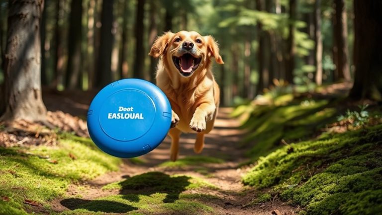 fun recall training toys