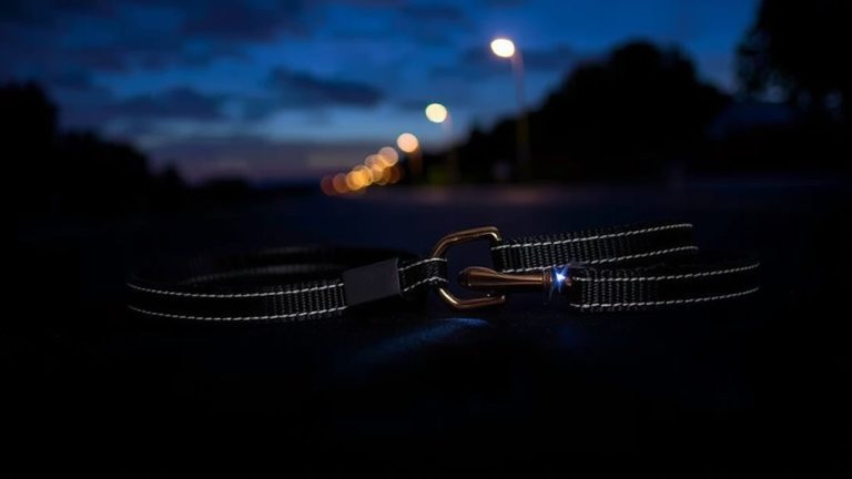 reflective dog leashes for safety