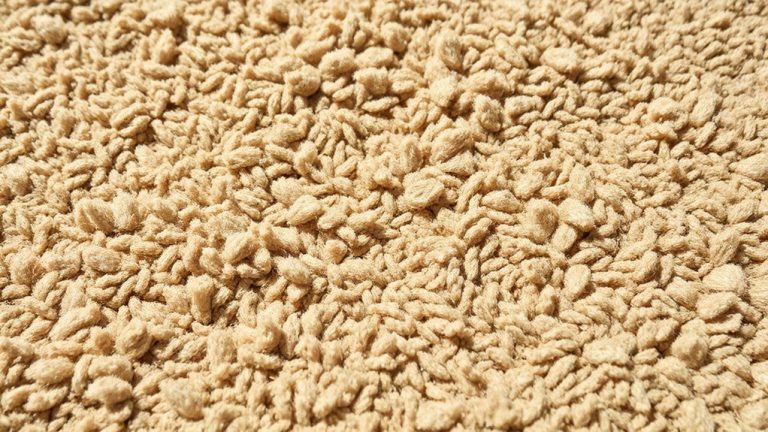 scratch resistant shedding proof cat carpets
