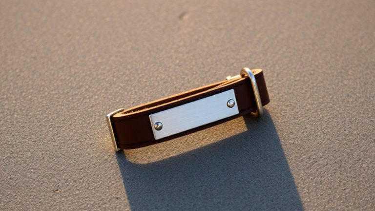 stylish and safe leather collars